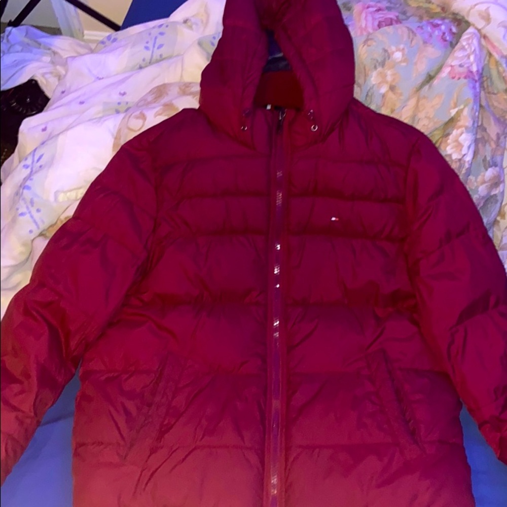 Tommy Hilfiger jacket (Maroon)